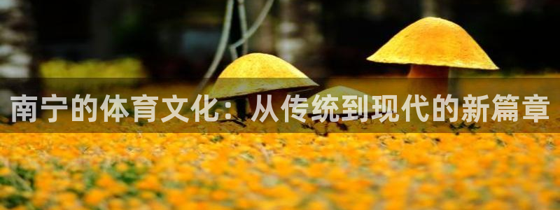 意昂4集团官网首页：南宁的体育文化：从传统到现代的新