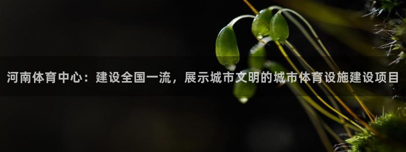 意昂体育4平台