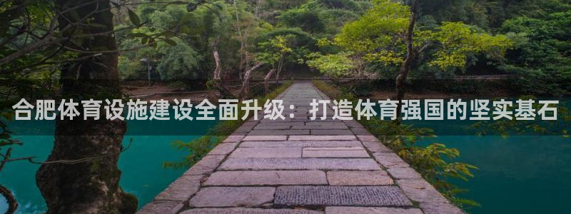 意昂体育4招商：合肥体育设施建设全面升级：打造体育强