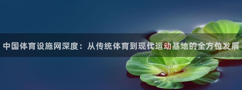 意昂4集团：中国体育设施网深度：从传统体育到现代运动