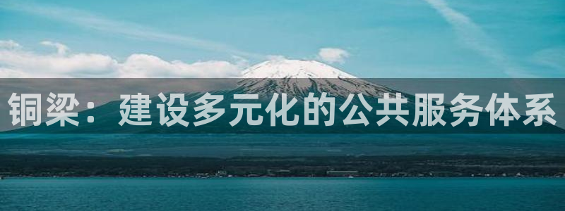 德国意昂4集团：铜梁：建设多元化的公共服务体系