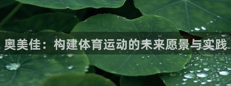 意昂4娱乐是那个系列的台子：奥美佳：构建体育运动的未