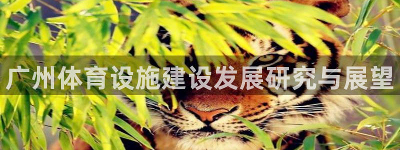 意昂平台体育：广州体育设施建设发展研究与展望