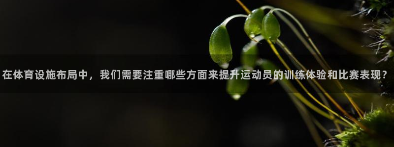 意昂4娱乐首页网站大全：在体育设施布局中，我们需要注