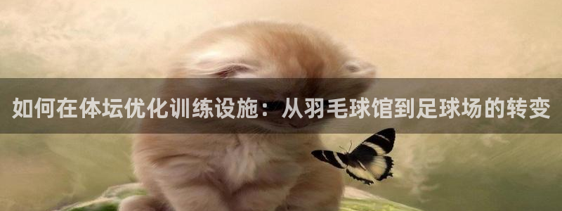 意昂4官网：如何在体坛优化训练设施：从羽毛球馆到足球