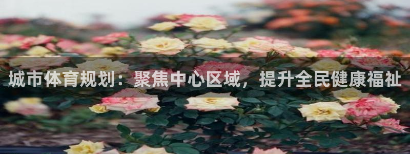 意昂集团官网：城市体育规划：聚焦中心区域，提升全民健