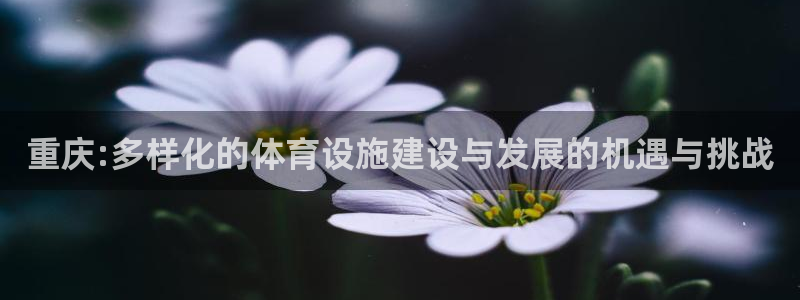意昂体育4平台APP：重庆:多样化的体育设施建设与发