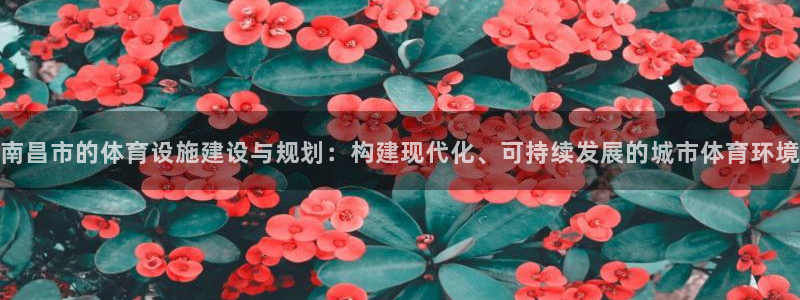 意昂4集团E.ON：南昌市的体育设施建设与规划：构建