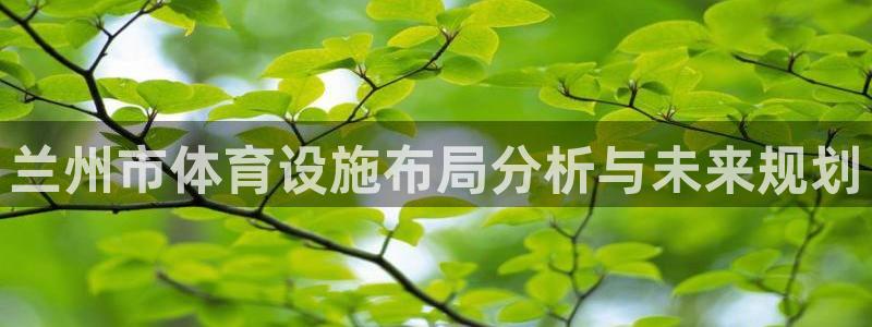 意昂体育4：兰州市体育设施布局分析与未来规划
