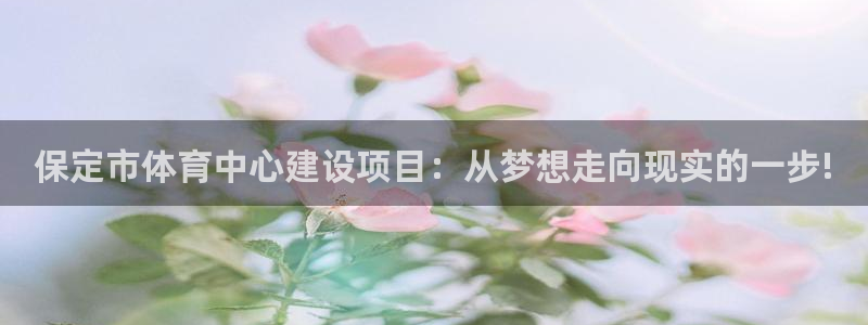 意昂4娱乐40996：保定市体育中心建设项目：从梦想
