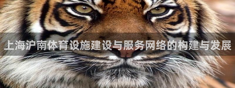 意昂体育4软件：上海沪南体育设施建设与服务网络的构建