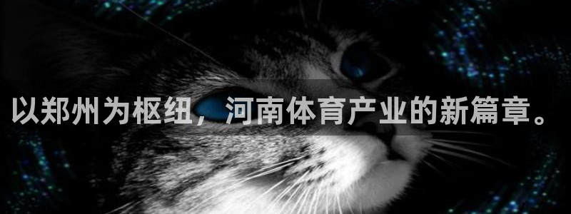 意昂体育4平台注册要钱吗安全吗：以郑州为枢纽，河南体育产业的