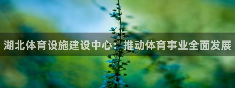 意昂体育4平台是正规平台吗：湖北体育设施建设中心：推动体育事