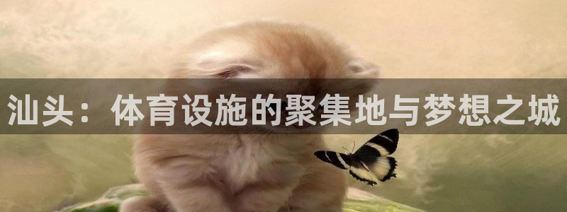 意昂体育4平台是正规平台吗：汕头：体育设施的聚集地与梦想之城