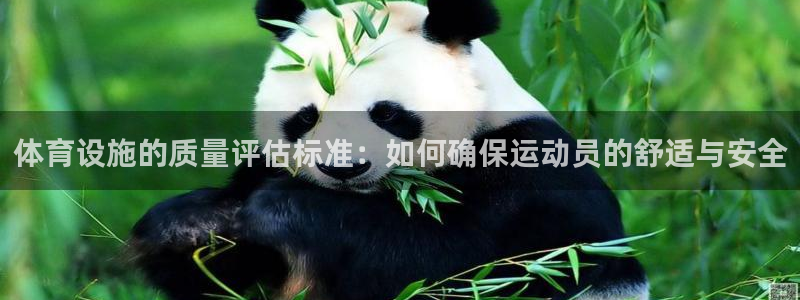 意昂4开户：体育设施的质量评估标准：如何确保运动员的舒适与安 