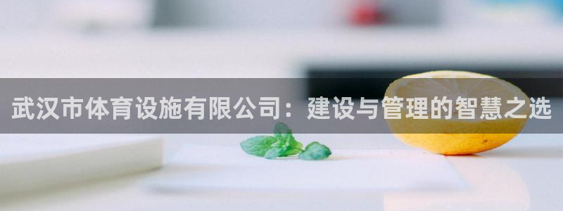 意昂4娱乐代理怎么样：武汉市体育设施有限公司：建设与管理的智