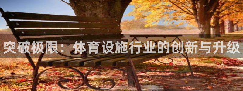 意昂体育4平台注册要钱吗安全吗：突破极限：体育设施行业的创新
