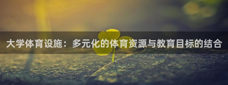 意昂4五金厂：大学体育设施：多元化的体育资源与教育目标的结合