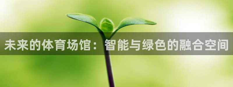 意昂4娱乐：未来的体育场馆：智能与绿色的融合空间