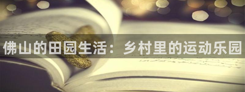 海南意昂体育4：佛山的田园生活：乡村里的运动乐园