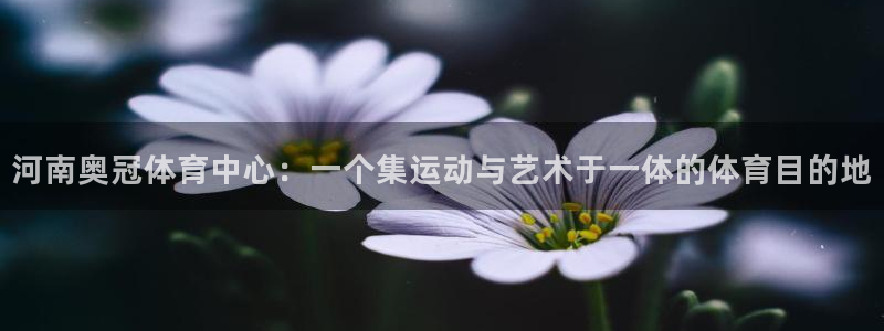 意昂体育4平台是正规平台吗：河南奥冠体育中心：一个集
