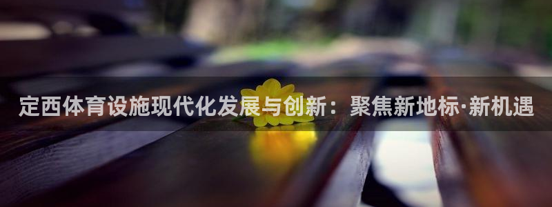 意昂体育4官方客服电话：定西体育设施现代化发展与创新