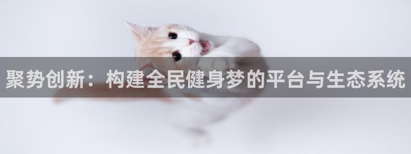 意昂4开户：聚势创新：构建全民健身梦的平台与生态系统