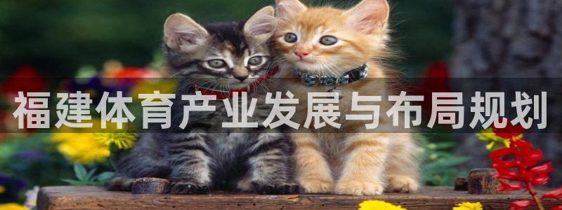 意昂体育4平台注册：福建体育产业发展与布局规划