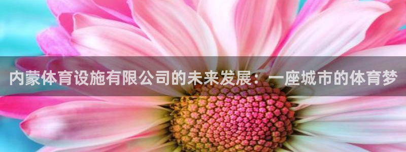 意昂4娱乐40996：内蒙体育设施有限公司的未来发展