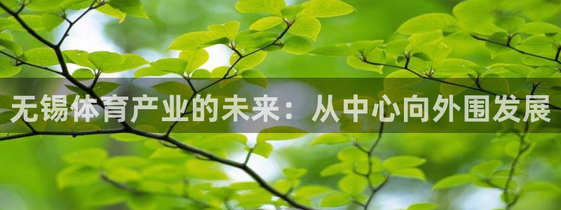 意昂体育4平台注册要钱吗是真的吗：无锡体育产业的未来：从中心