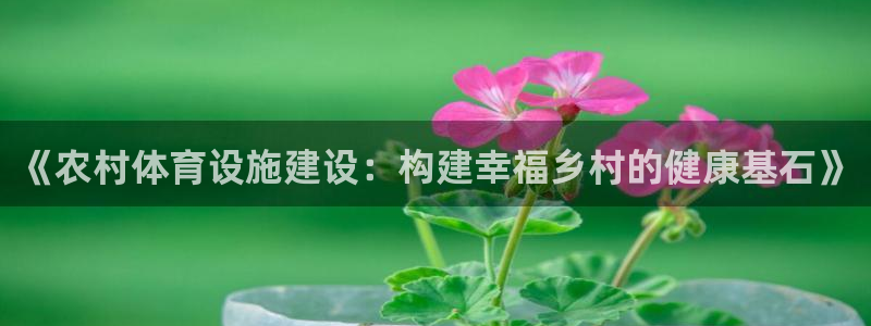 意昂体育4平台注册：《农村体育设施建设：构建幸福乡村