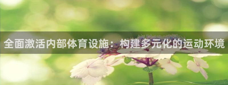 意昂4科技：全面激活内部体育设施：构建多元化的运动环