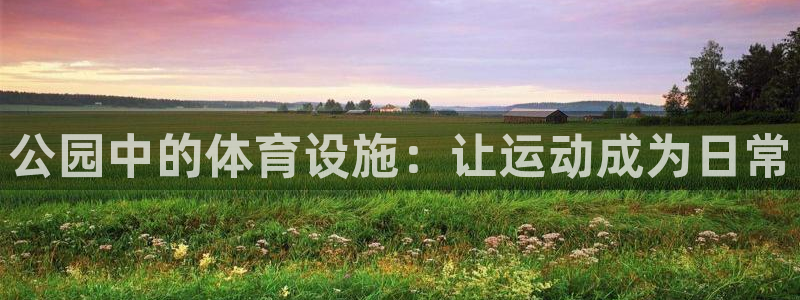 意昂4集团简介：公园中的体育设施：让运动成为日常