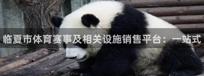 意昂体育4平台是正规平台吗：临夏市体育赛事及相关设施销售平台