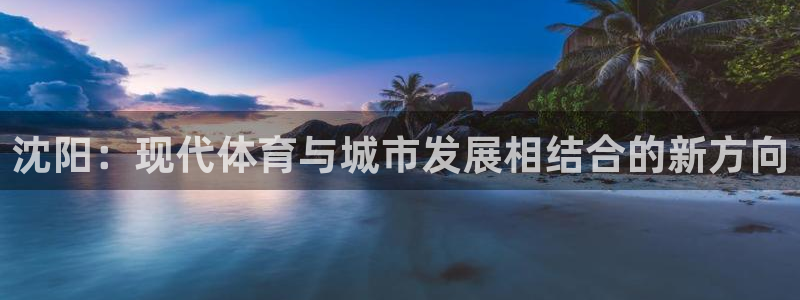 意昂平台体育：沈阳：现代体育与城市发展相结合的新方向