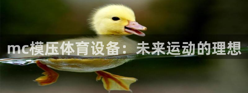 意昂体育4：mc模压体育设备：未来运动的理想 