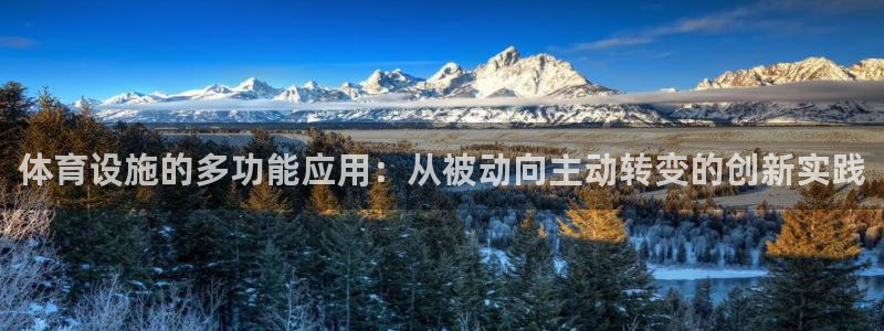 意昂4娱乐代理怎么样：体育设施的多功能应用：从被动向主动转变
