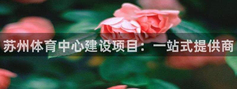 意昂4娱乐下载：苏州体育中心建设项目：一站式提供商