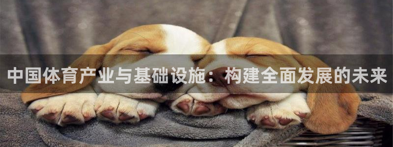 意昂体育4平台是正规平台吗知乎：中国体育产业与基础设