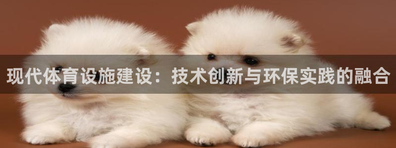 意昂4代理：现代体育设施建设：技术创新与环保实践的融