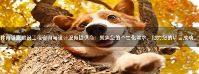 意昂体育4招商电话是多少：体育设施建设工程咨询与设计