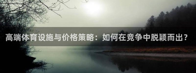 意昂体育4平台注册要钱吗：高端体育设施与价格策略：如