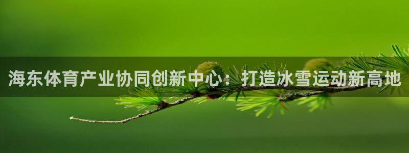 意昂体育4平台假的吗是真的吗：海东体育产业协同创新中
