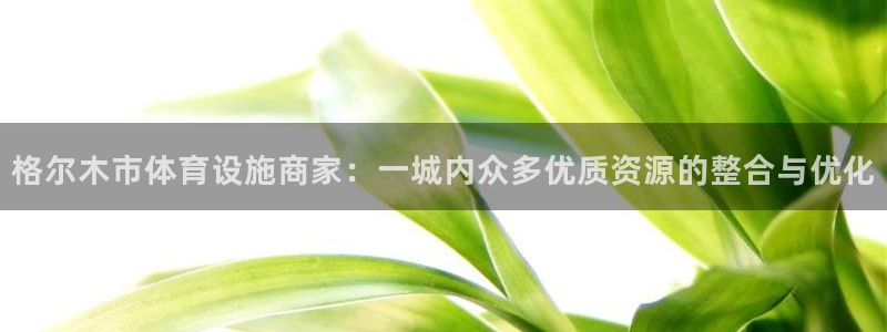 意昂体育4平台是正规平台吗：格尔木市体育设施商家：一