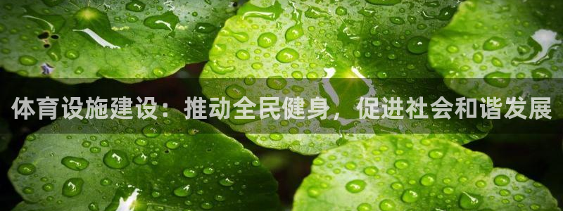 意昂4神州：体育设施建设：推动全民健身，促进社会和谐