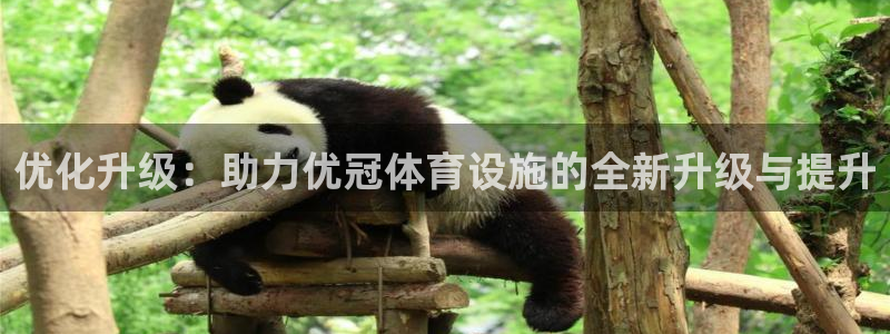 意昂体育4招商电话地址是多少：优化升级：助力优冠体育