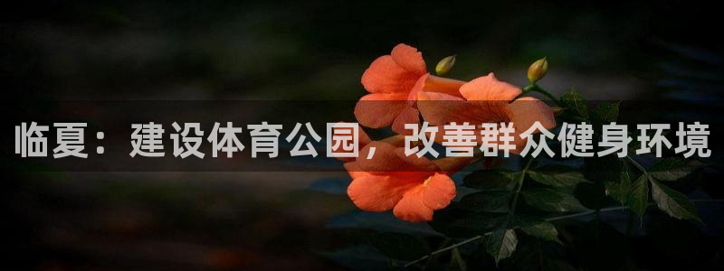 意昂体育4平台注册要钱吗是真的吗：临夏：建设体育公园