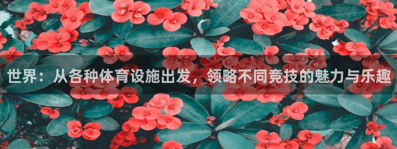意昂体育4软件：世界：从各种体育设施出发，领略不同竞