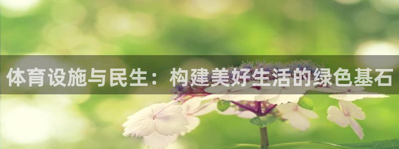 意昂体育4招商电话是多少啊：体育设施与民生：构建美好