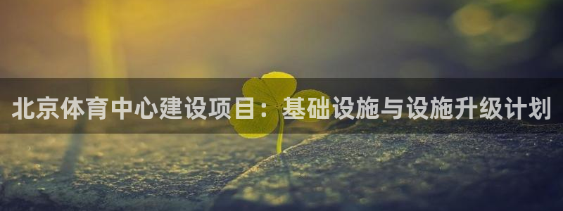 意昂体育4平台：北京体育中心建设项目：基础设施与设施